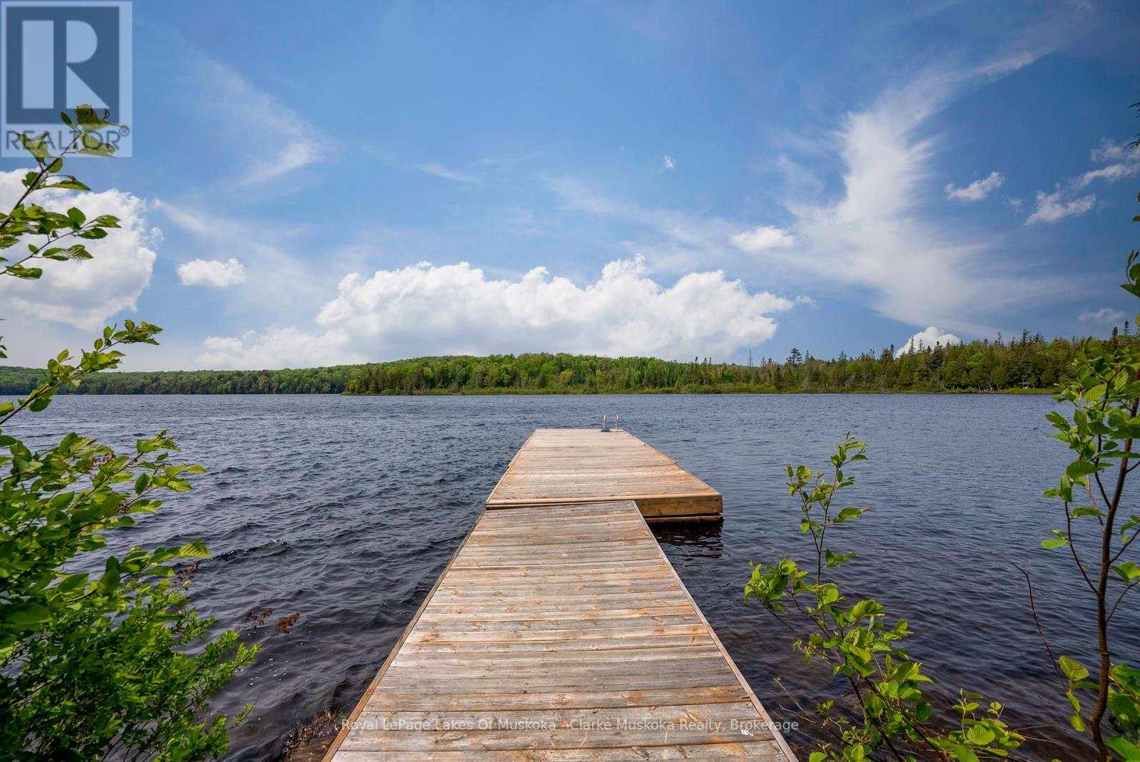 112 Bittern Lake Lane, Perry, Ontario  P0A 1R0 - Photo 34 - X12106057