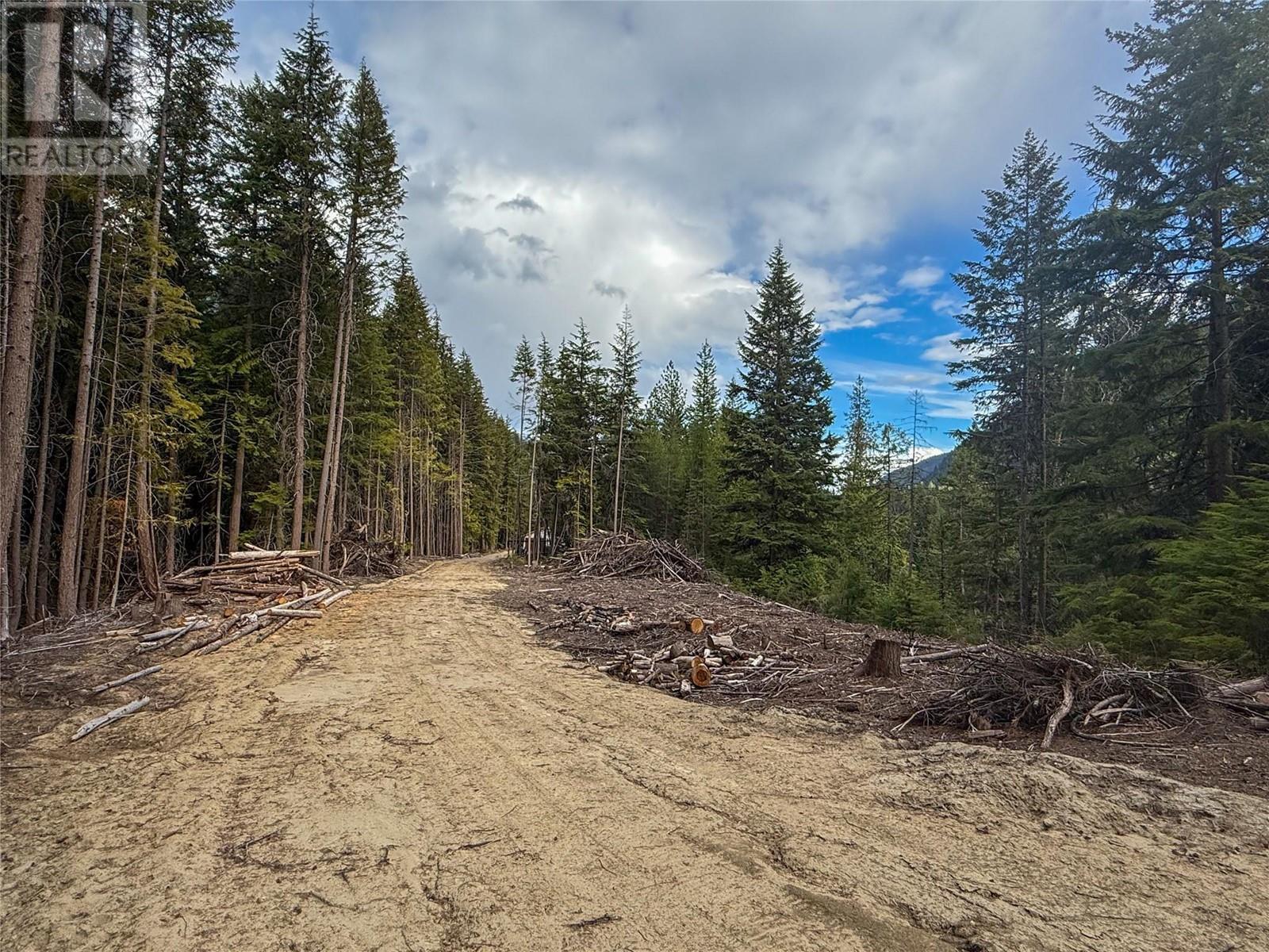 3945 Saunders Road, Passmore, British Columbia  V0G 2J0 - Photo 20 - 10349706