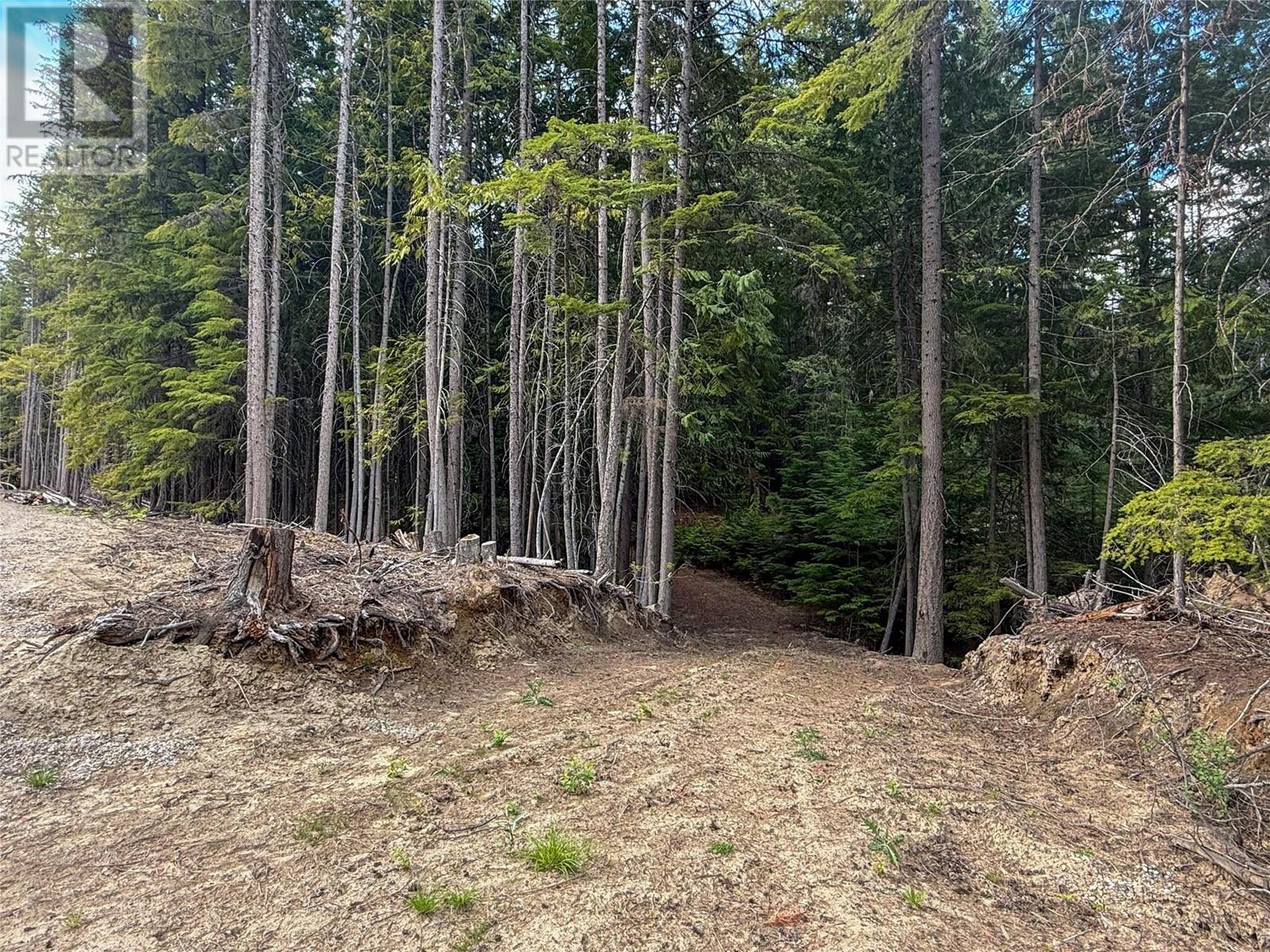 3945 Saunders Road, Passmore, British Columbia  V0G 2J0 - Photo 3 - 10349706