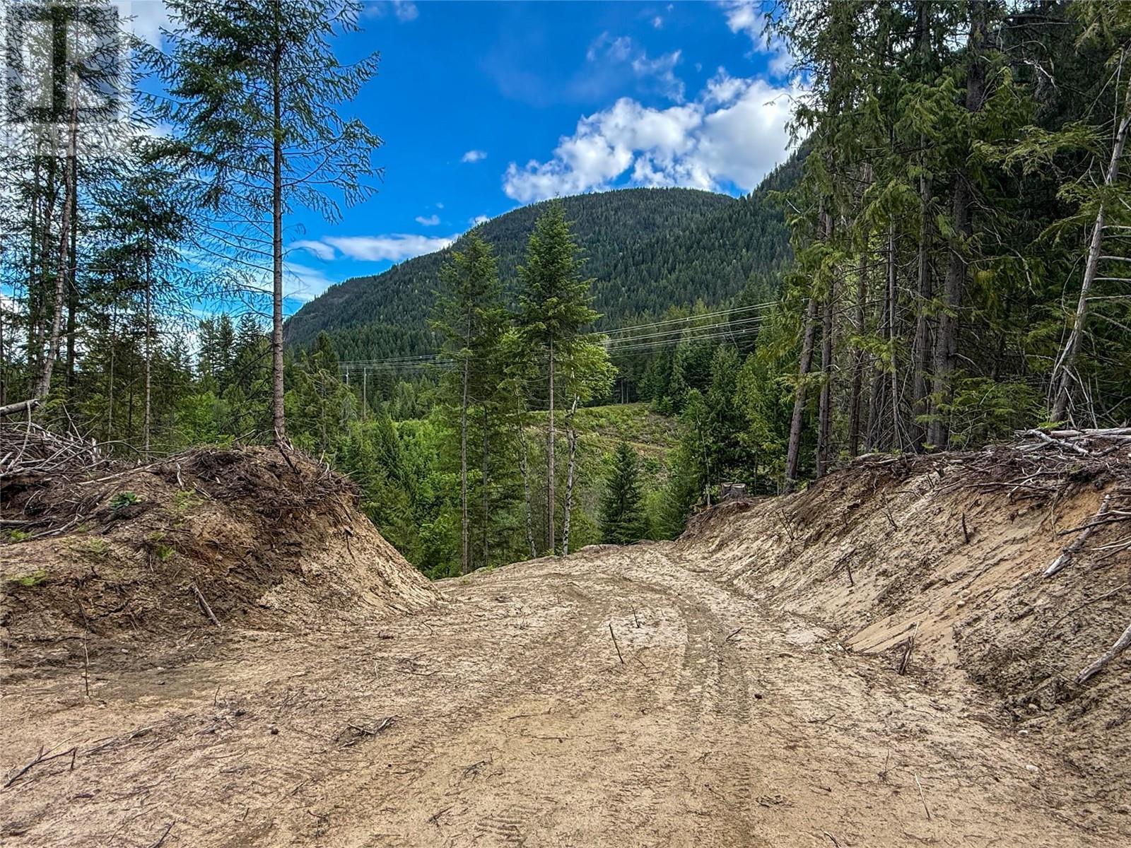 3945 Saunders Road, Passmore, British Columbia  V0G 2J0 - Photo 18 - 10349706