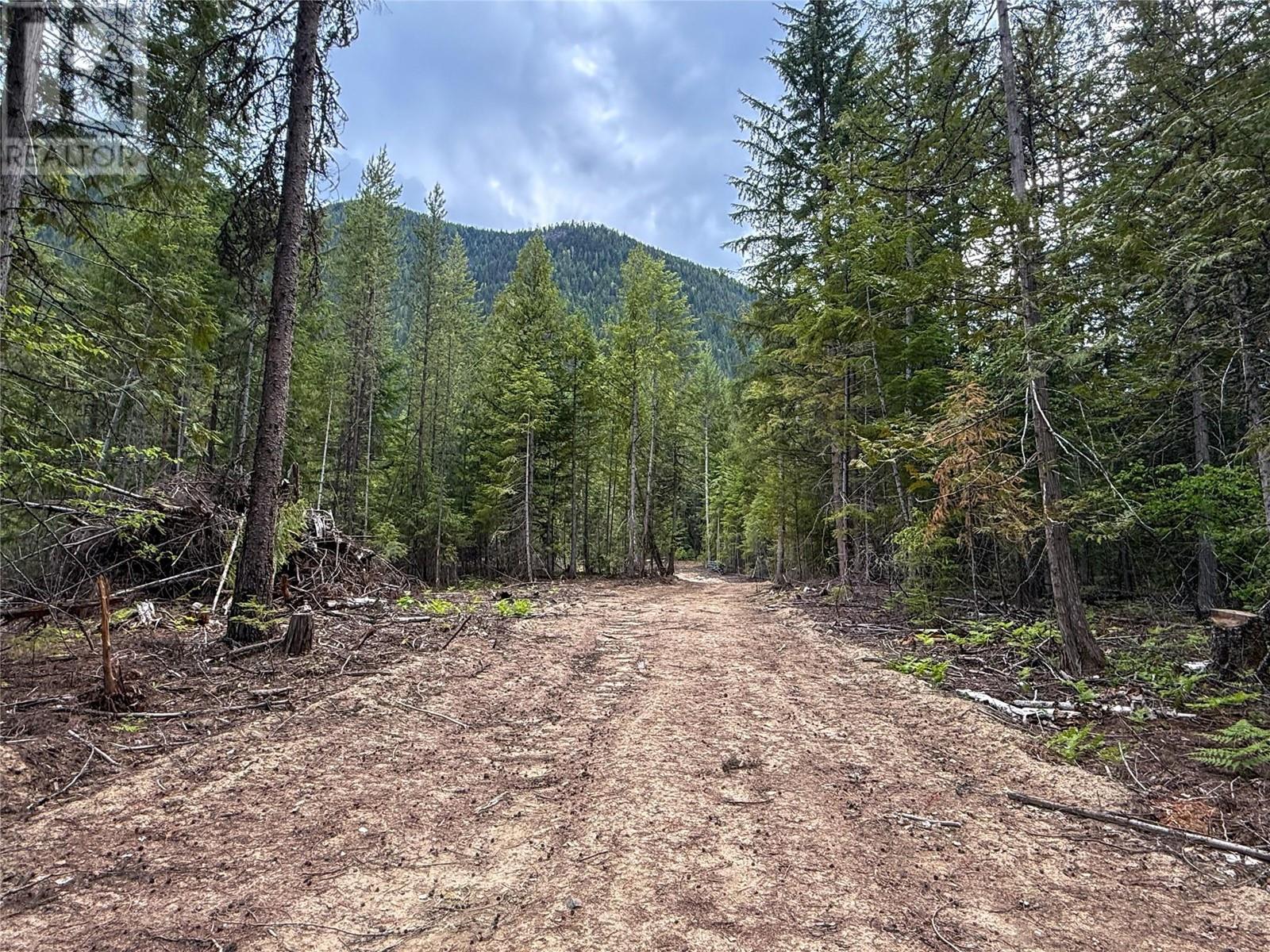 3945 Saunders Road, Passmore, British Columbia  V0G 2J0 - Photo 17 - 10349706