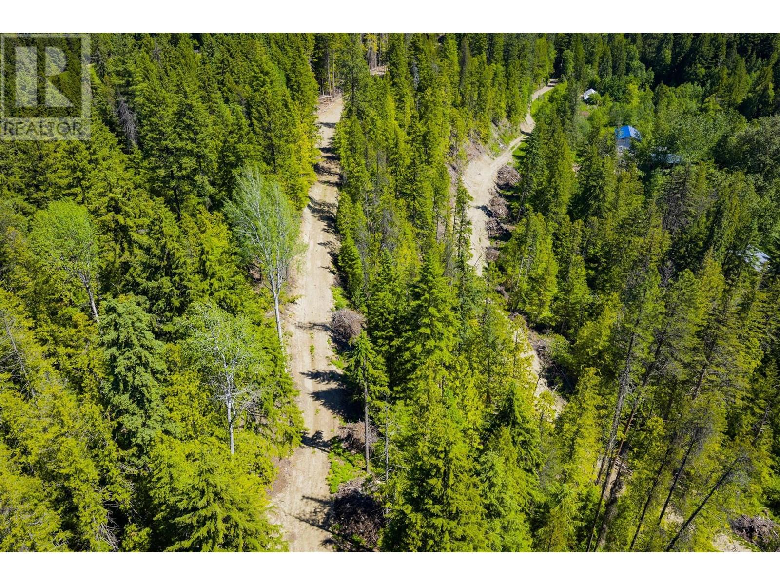 3945 Saunders Road, Passmore, British Columbia  V0G 2J0 - Photo 27 - 10349706