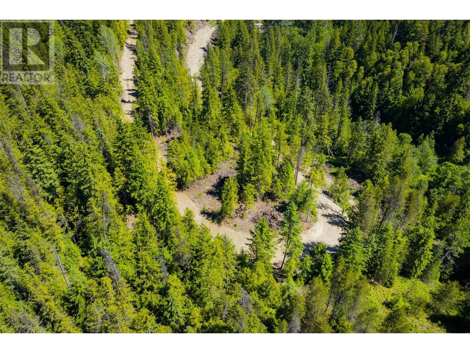 3945 Saunders Road, Passmore, British Columbia  V0G 2J0 - Photo 25 - 10349706