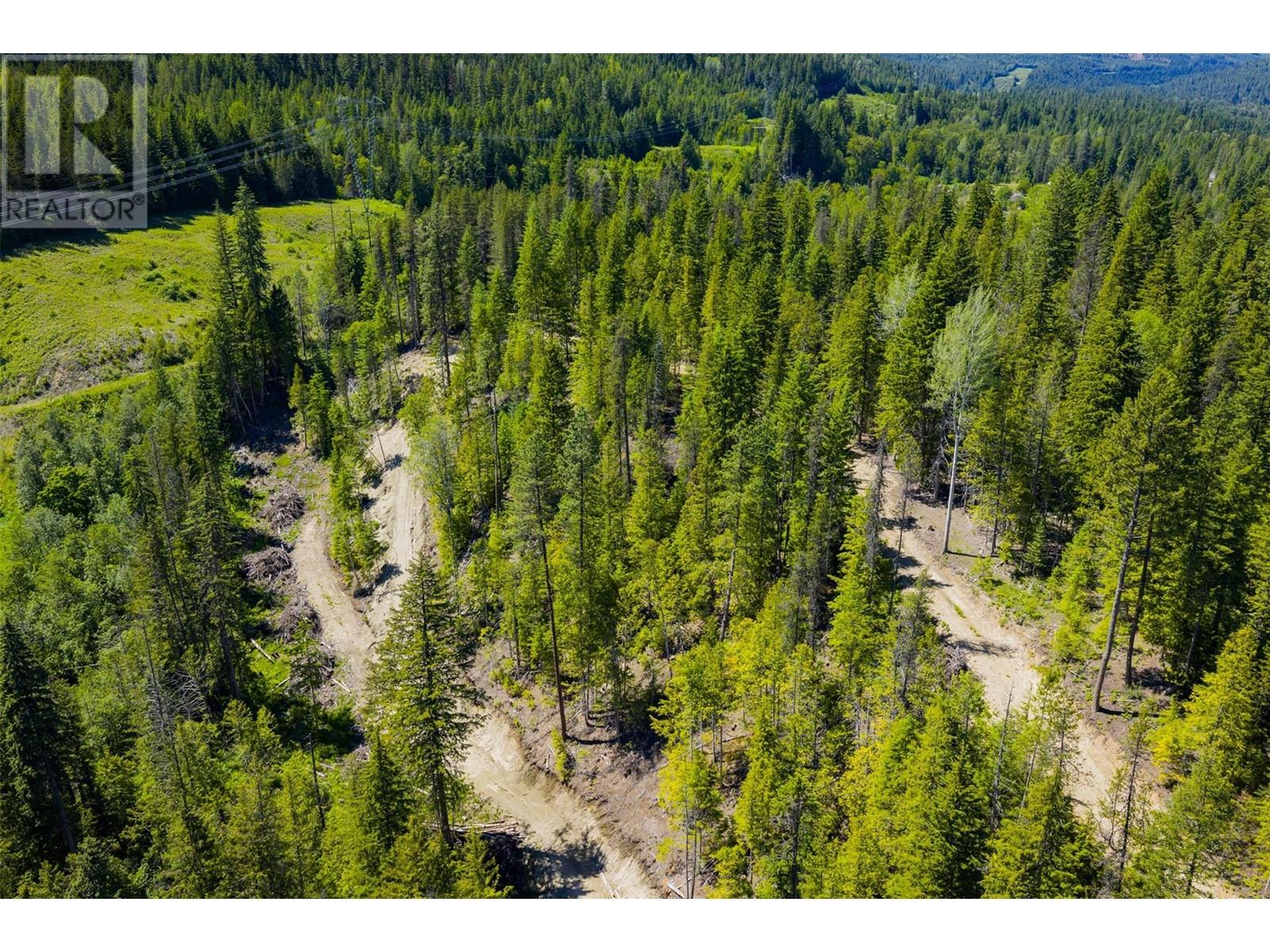 3945 Saunders Road, Passmore, British Columbia  V0G 2J0 - Photo 24 - 10349706