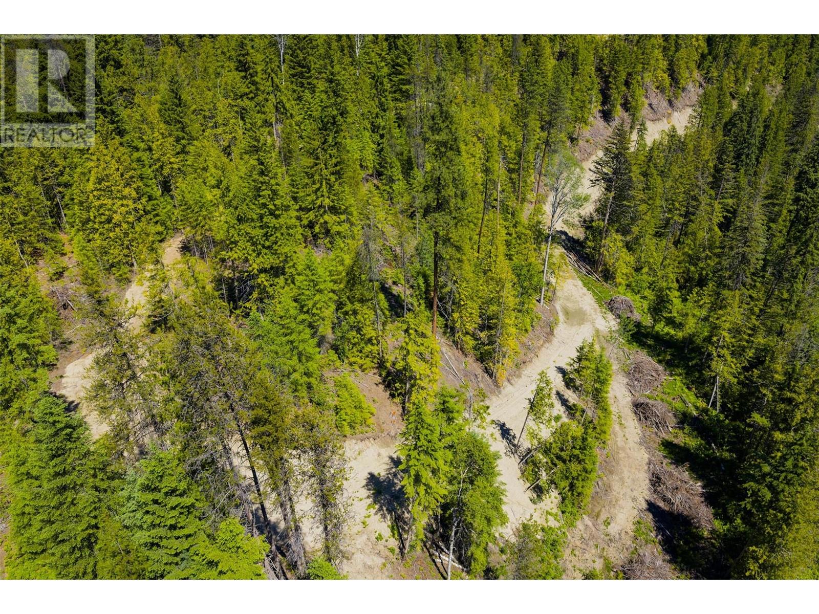 3945 Saunders Road, Passmore, British Columbia  V0G 2J0 - Photo 26 - 10349706