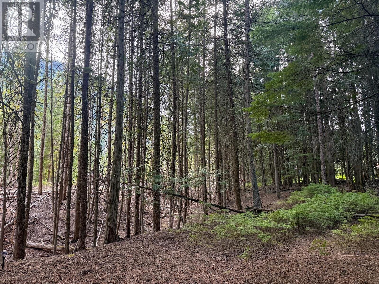 3945 Saunders Road, Passmore, British Columbia  V0G 2J0 - Photo 4 - 10349706