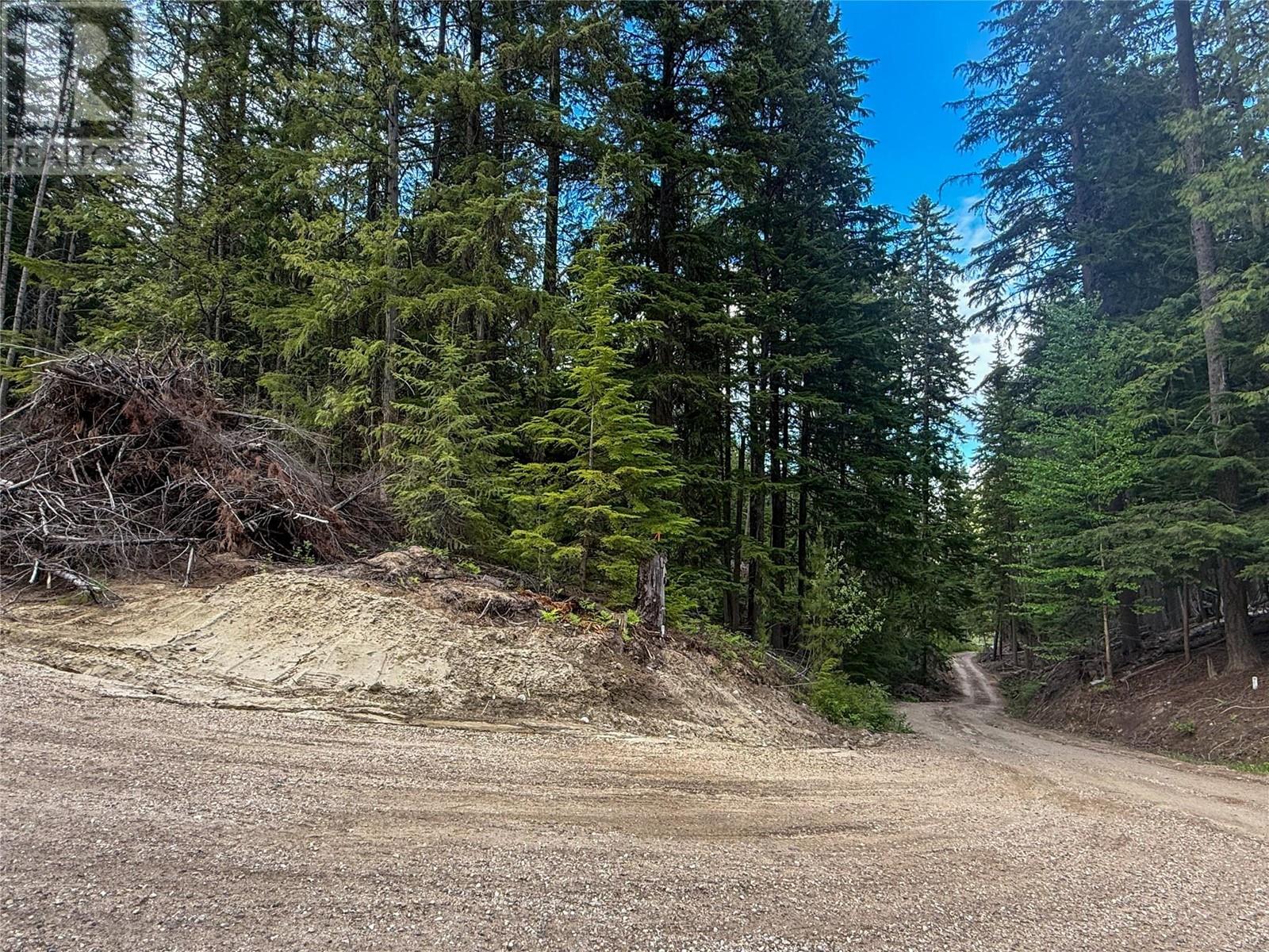 3945 Saunders Road, Passmore, British Columbia  V0G 2J0 - Photo 2 - 10349706