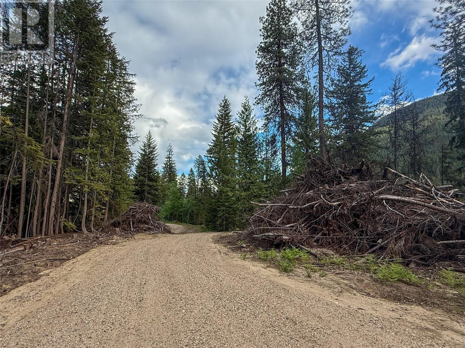 3945 Saunders Road, Passmore, British Columbia  V0G 2J0 - Photo 21 - 10349706