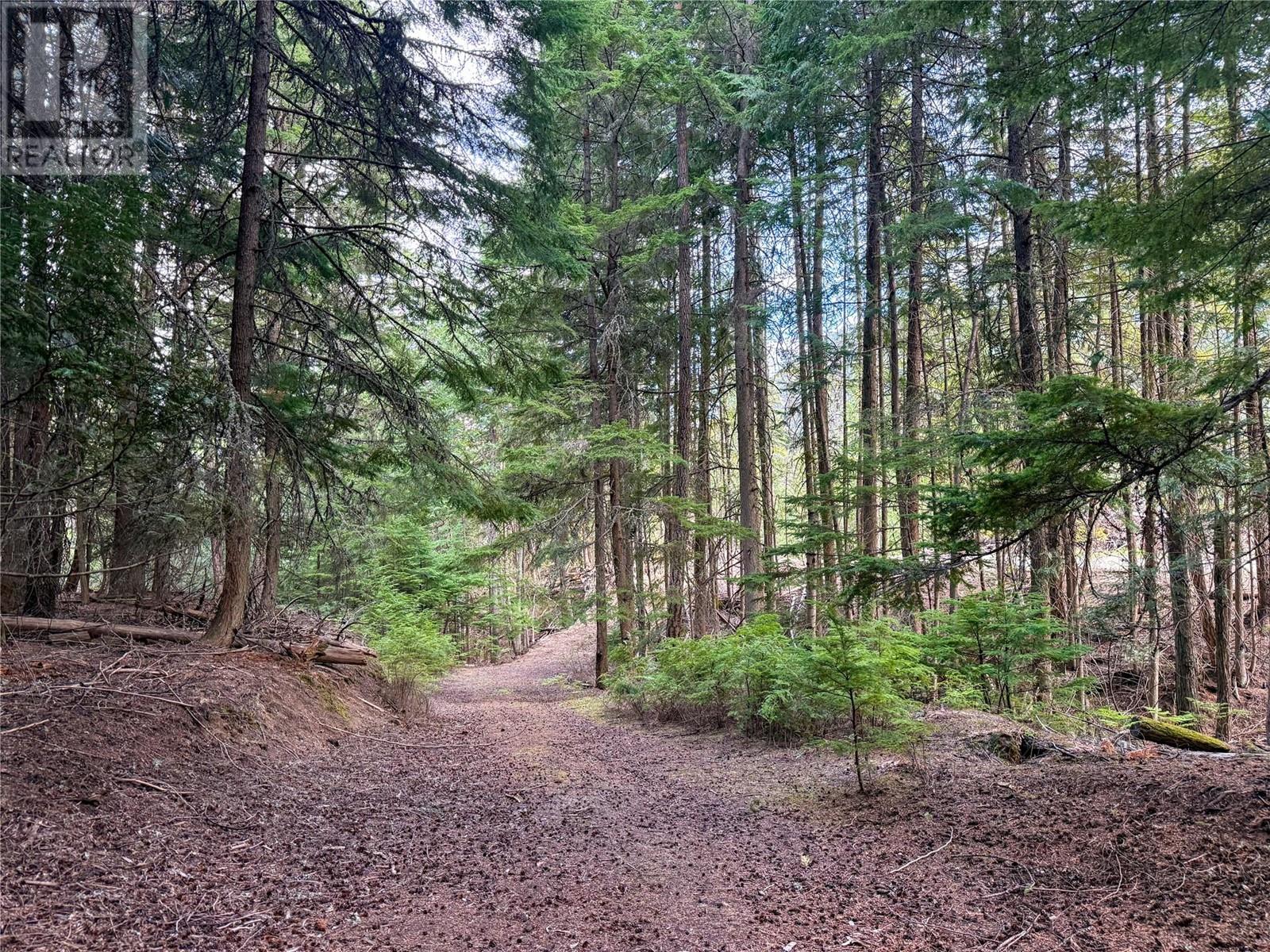 3945 Saunders Road, Passmore, British Columbia  V0G 2J0 - Photo 6 - 10349706
