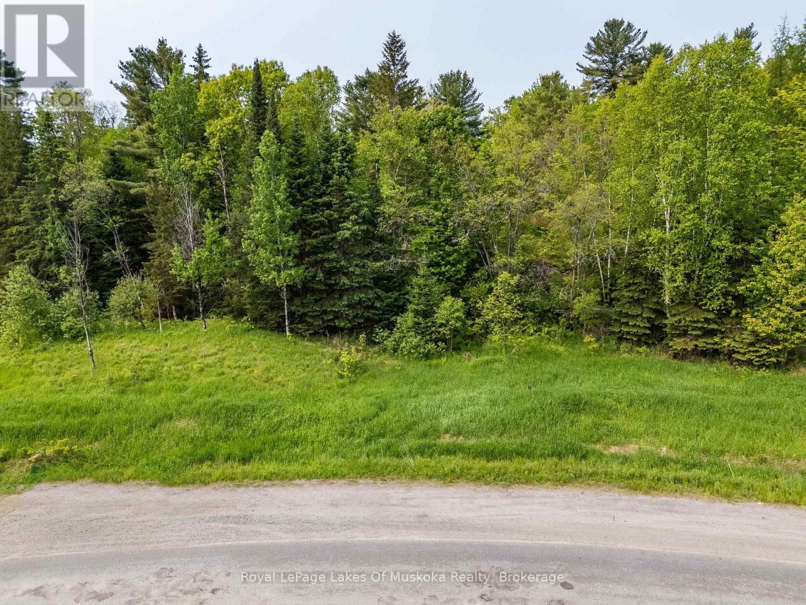 22 Allensville Road, Huntsville, Ontario  P0B 1M0 - Photo 12 - X12202484