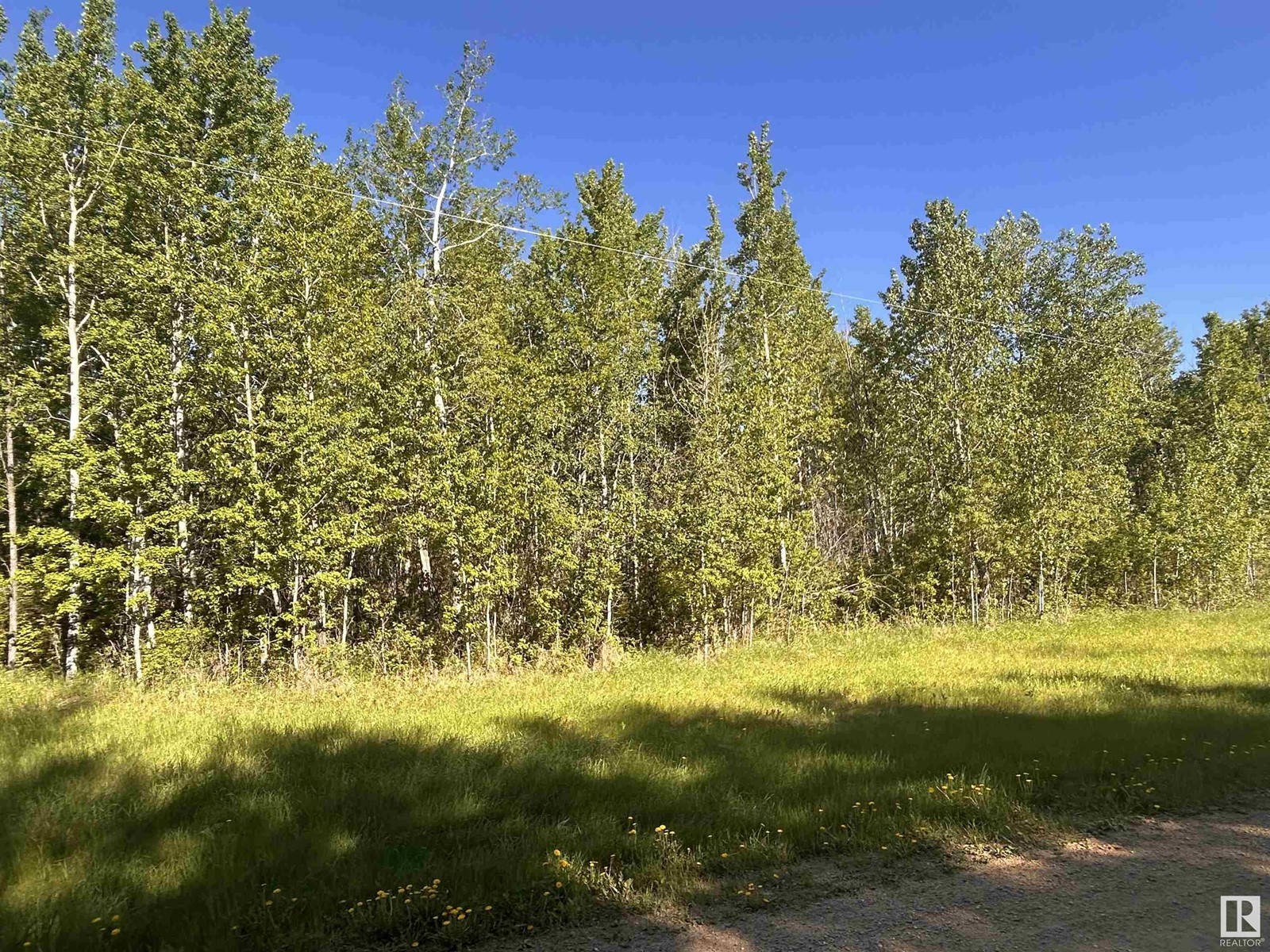 Pt Ne-7-63-23-W4, Rural Athabasca County, Alberta  T0G 1Z0 - Photo 6 - E4427204