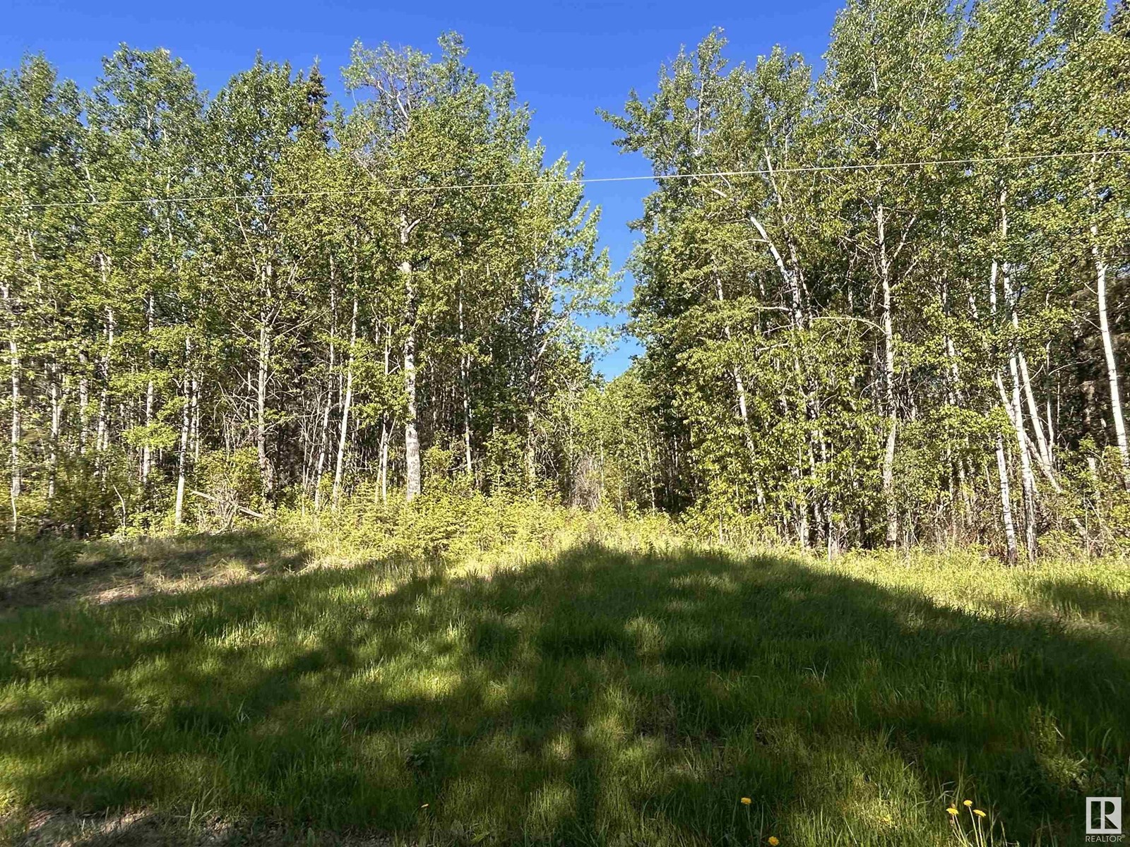 Pt Ne-7-63-23-W4, Rural Athabasca County, Alberta  T0G 1Z0 - Photo 4 - E4427204