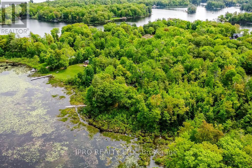 382 Corrievale Road, Georgian Bay (Baxter), Ontario  L0K 1S0 - Photo 10 - X12202260