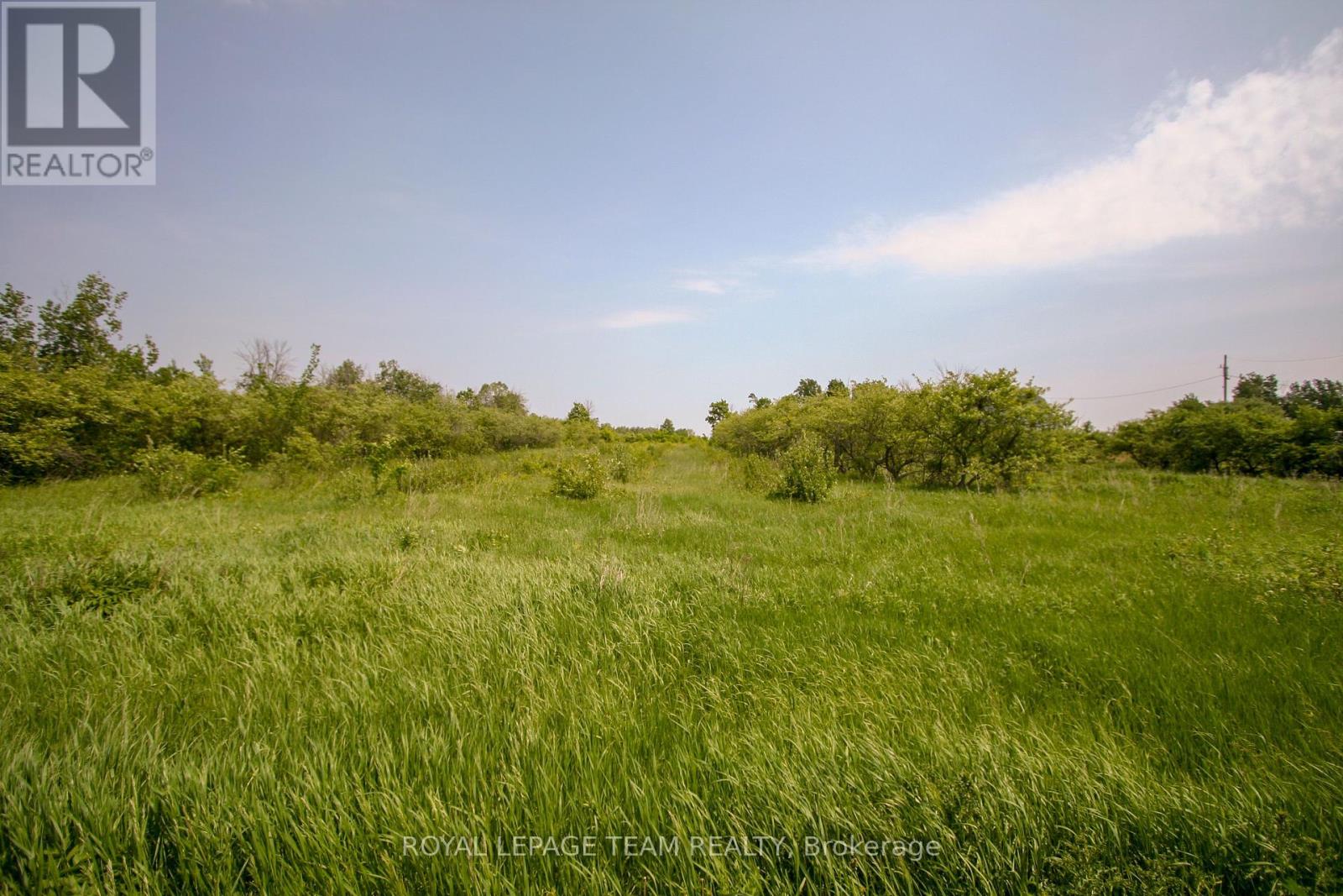 1297 Merkley Road, North Dundas, Ontario  K0C 2K0 - Photo 3 - X12202581
