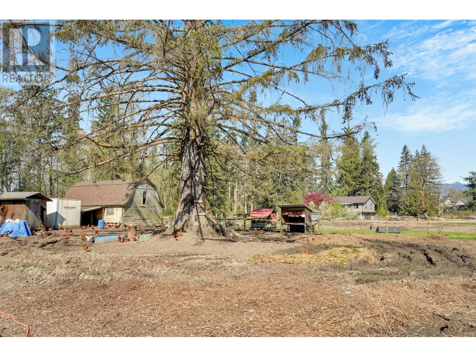 22022 132 Avenue, Maple Ridge, British Columbia  V4R 0A7 - Photo 14 - R3012063