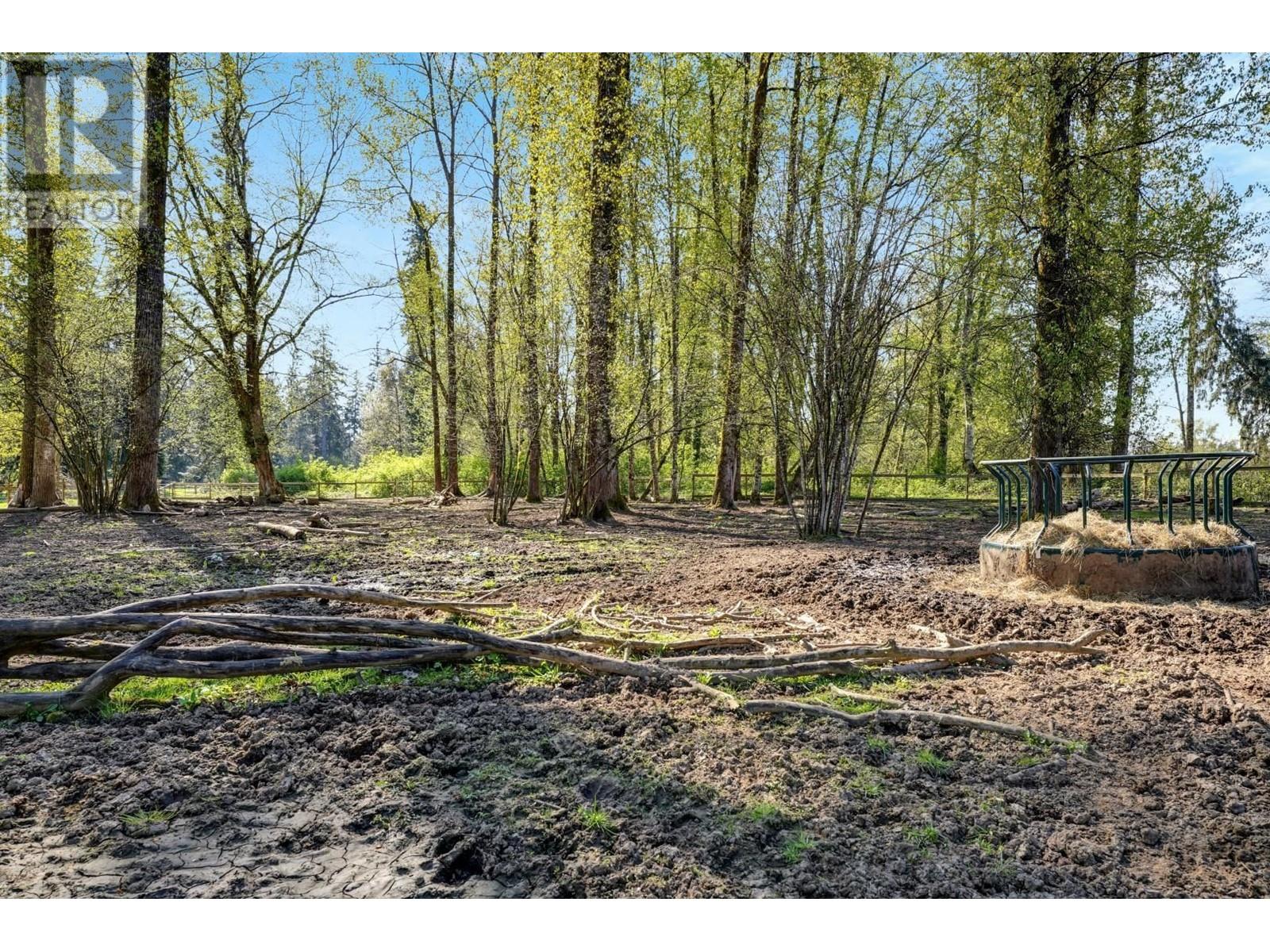 22022 132 Avenue, Maple Ridge, British Columbia  V4R 0A7 - Photo 15 - R3012063