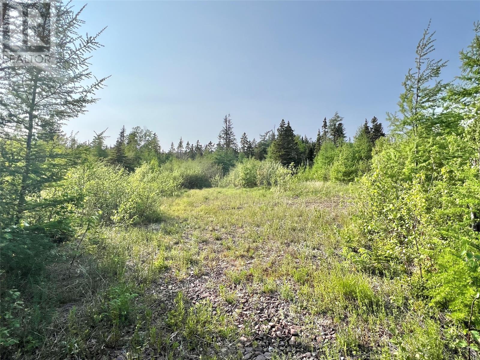 437 Main Street, Northern Arm, Newfoundland & Labrador  A0H 1E0 - Photo 1 - 1286052