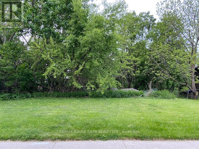 72 Meadowvale Road, Toronto (Centennial Scarborough), Ontario  M1C 1S1 - Photo 7 - E11973357