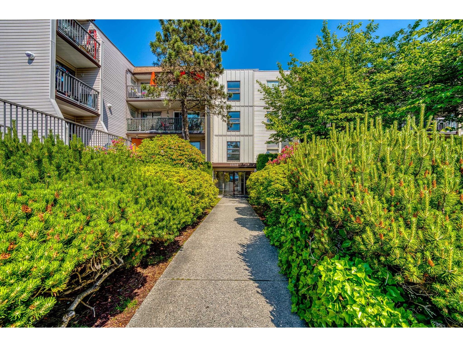 Property at 302 15288 100 AVENUE image 3
