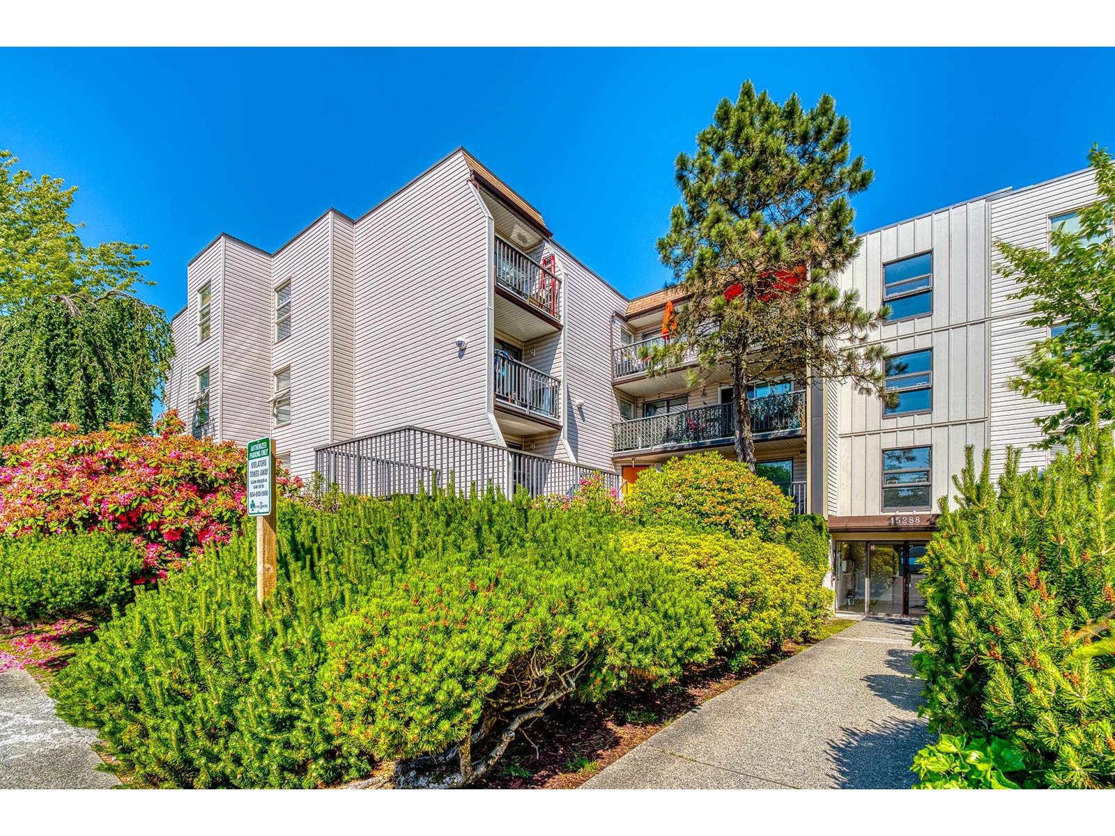 Property at 302 15288 100 AVENUE image 1