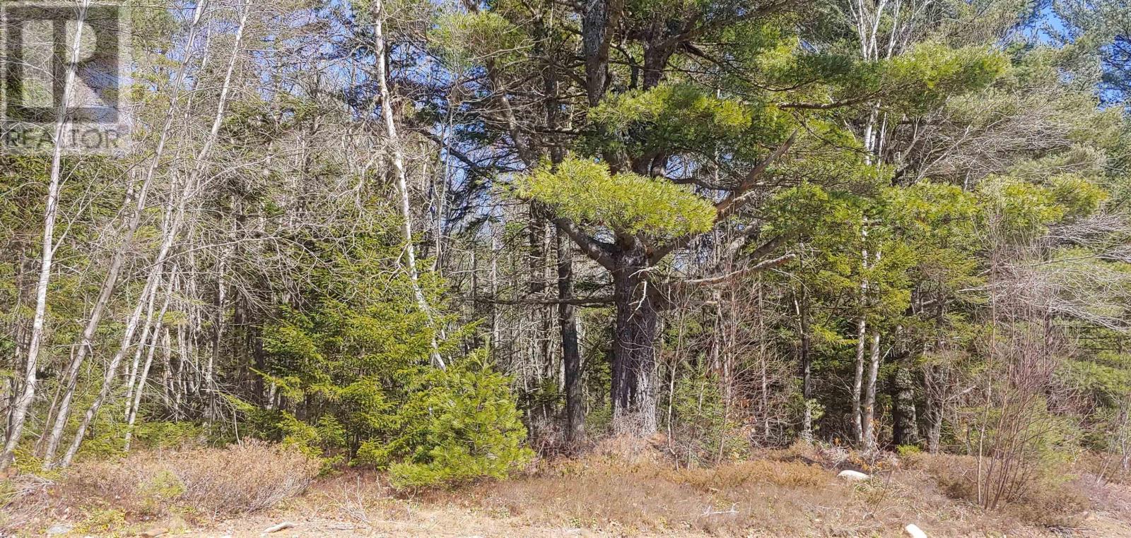 Lot Lemuel Smith Road, Nineveh, Nova Scotia  B0R 1E0 - Photo 1 - 202426272