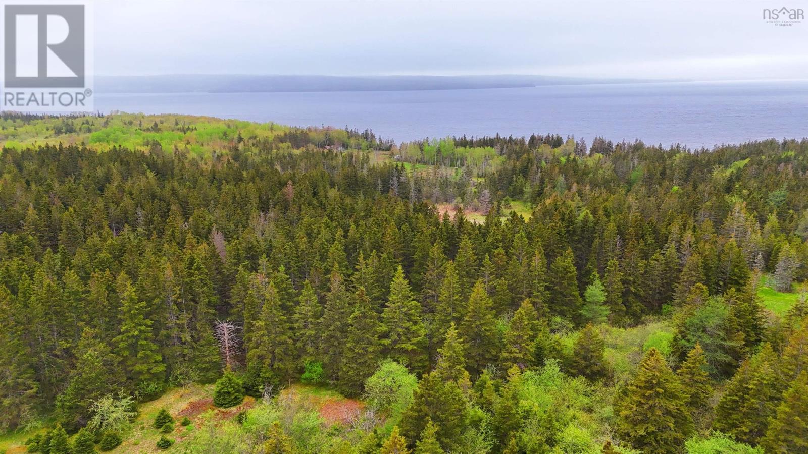 100 Acres On East Lake Ainslie Rd, East Lake Ainslie, Nova Scotia  B0E 3M0 - Photo 3 - 202513007