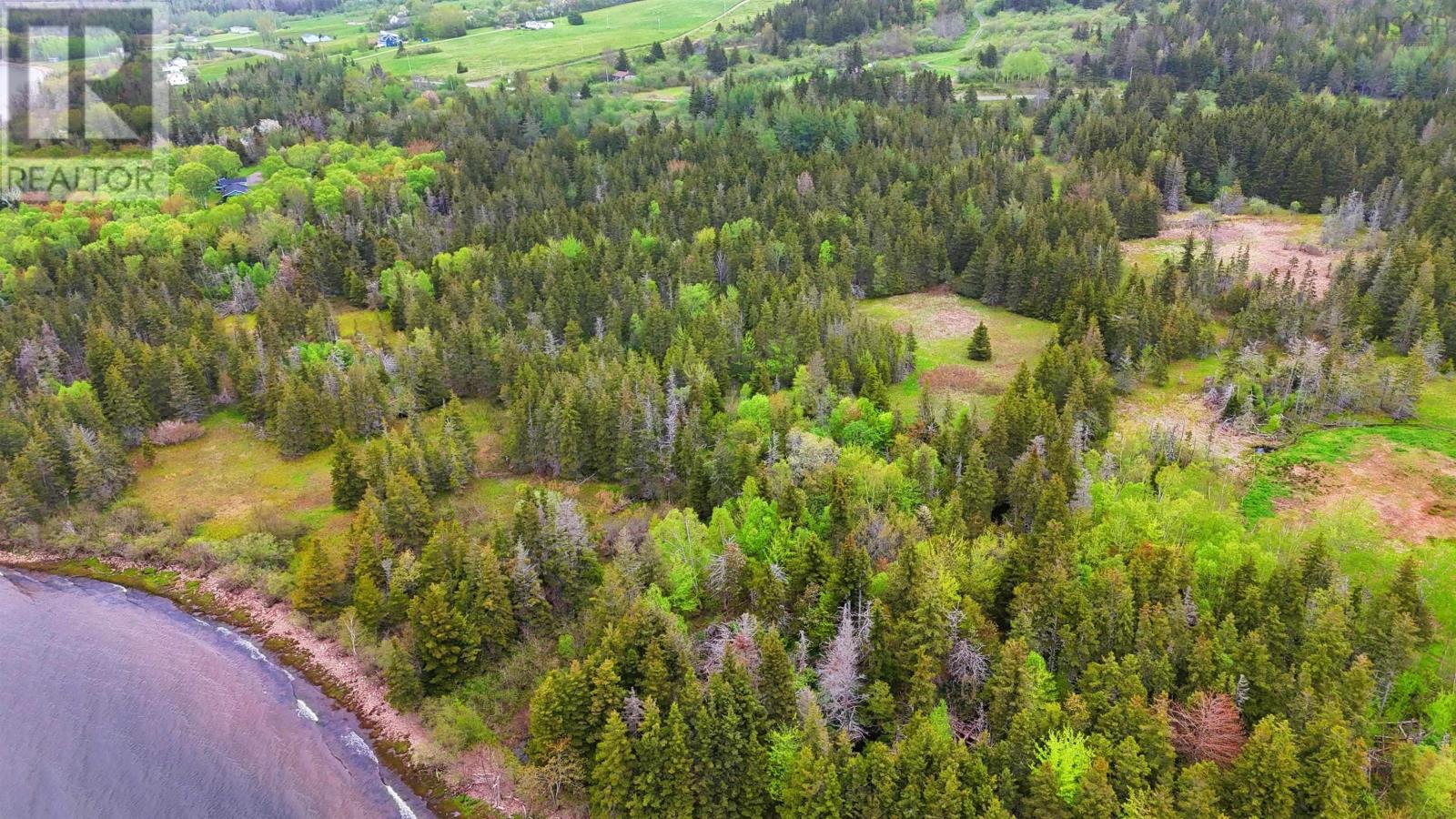 100 Acres On East Lake Ainslie Rd, East Lake Ainslie, Nova Scotia  B0E 3M0 - Photo 45 - 202513007