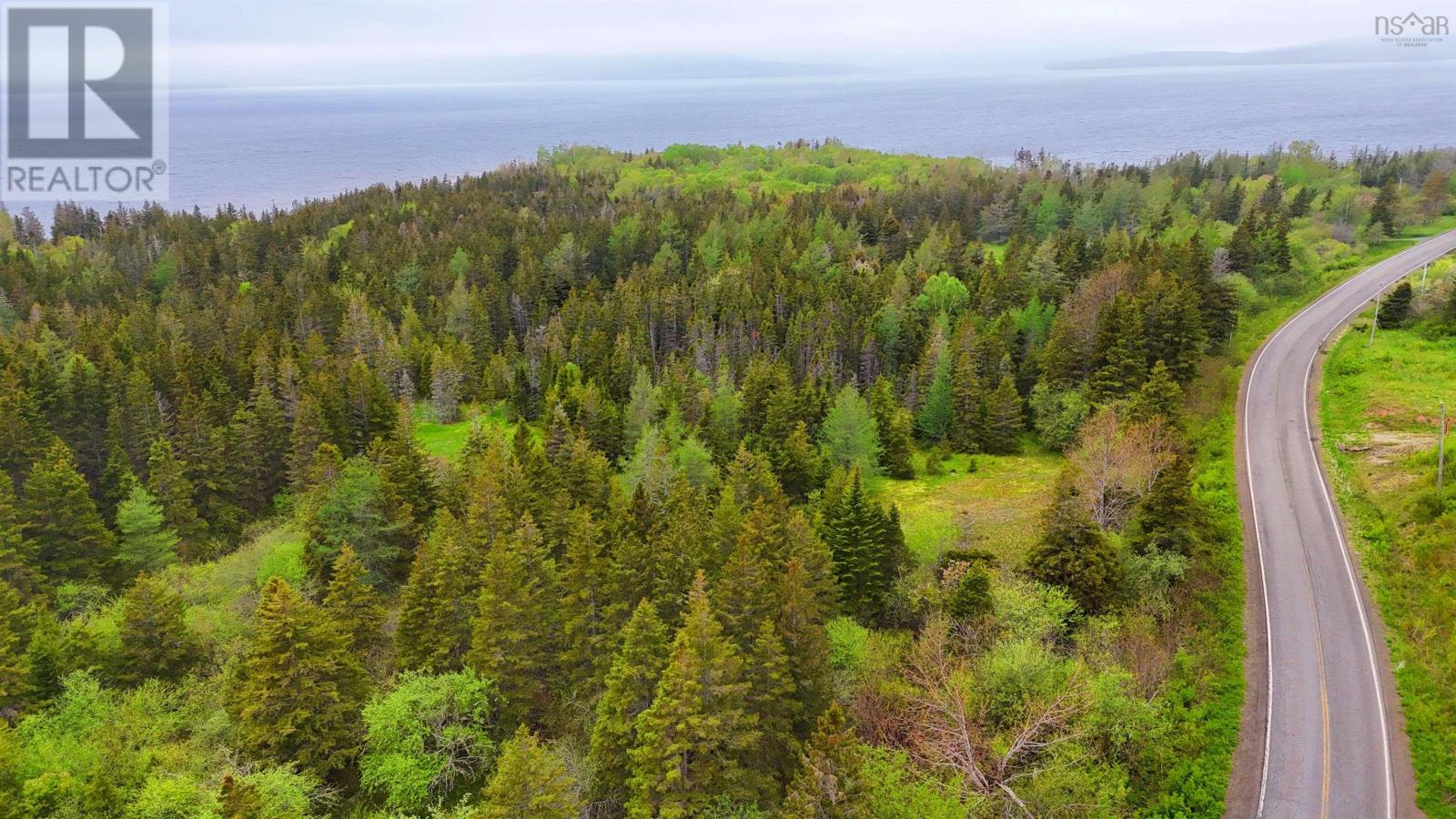 100 Acres On East Lake Ainslie Rd, East Lake Ainslie, Nova Scotia  B0E 3M0 - Photo 6 - 202513007