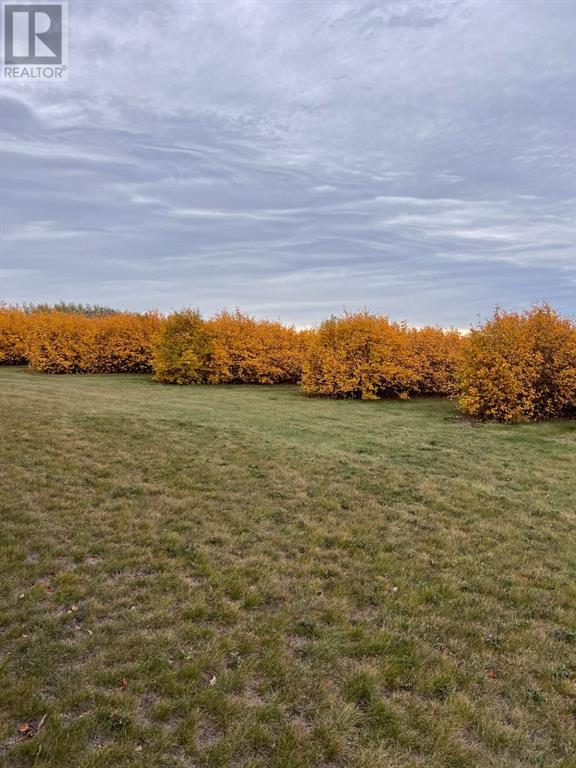 29250 Rr 34, Rural Mountain View County, Alberta  T0M 0S0 - Photo 15 - A2173408