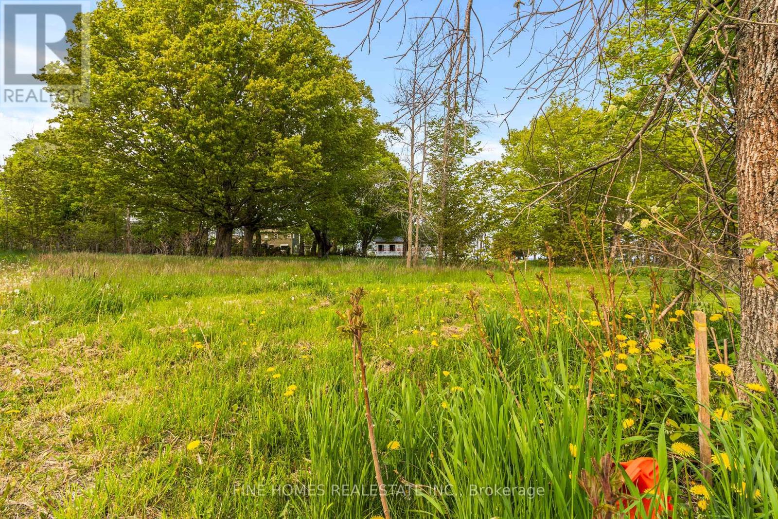 243 Isthmus Bay Road, Northern Bruce Peninsula, Ontario  N0H 1W0 - Photo 18 - X12202788