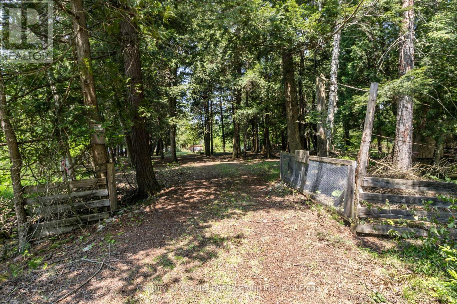 0 Soyers Lake Road, Minden Hills, Ontario  K0M 2K0 - Photo 26 - X12201733