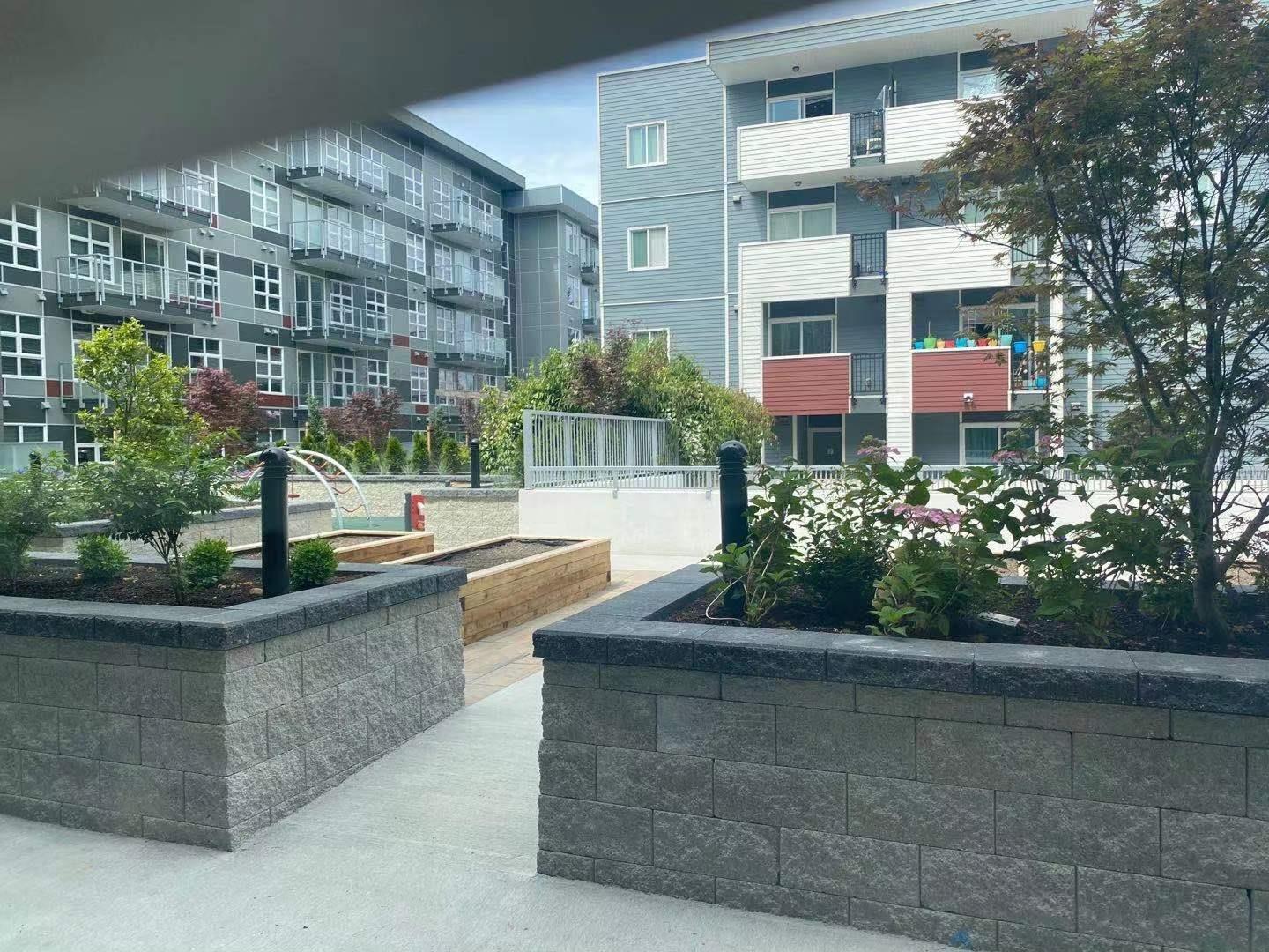 204 10838 Whalley Boulevard, Surrey, British Columbia  V3R 0G8 - Photo 18 - R2999245
