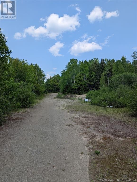 94.1 acres Rte 450, Saint-Wilfred, New Brunswick