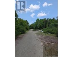 94.1 acres Rte 450, Saint-Wilfred, New Brunswick