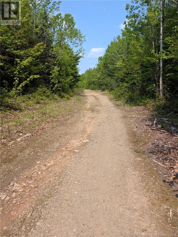 Property at 94.1 acres Rte 450 image 2