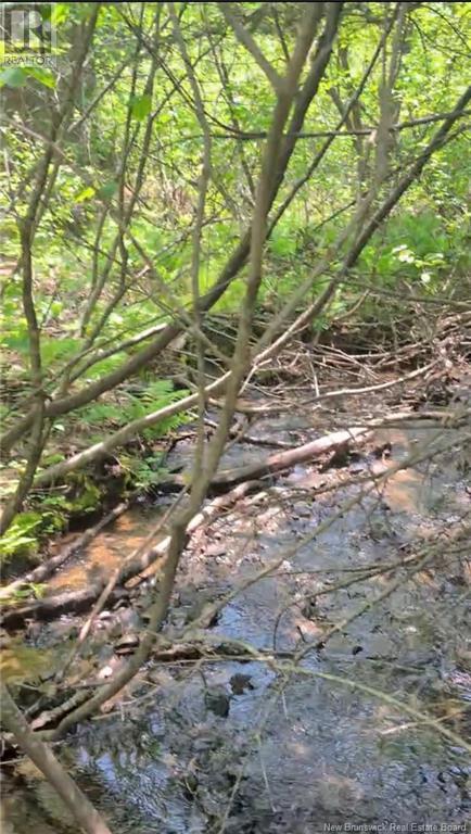 Property at 94.1 acres Rte 450 image 3