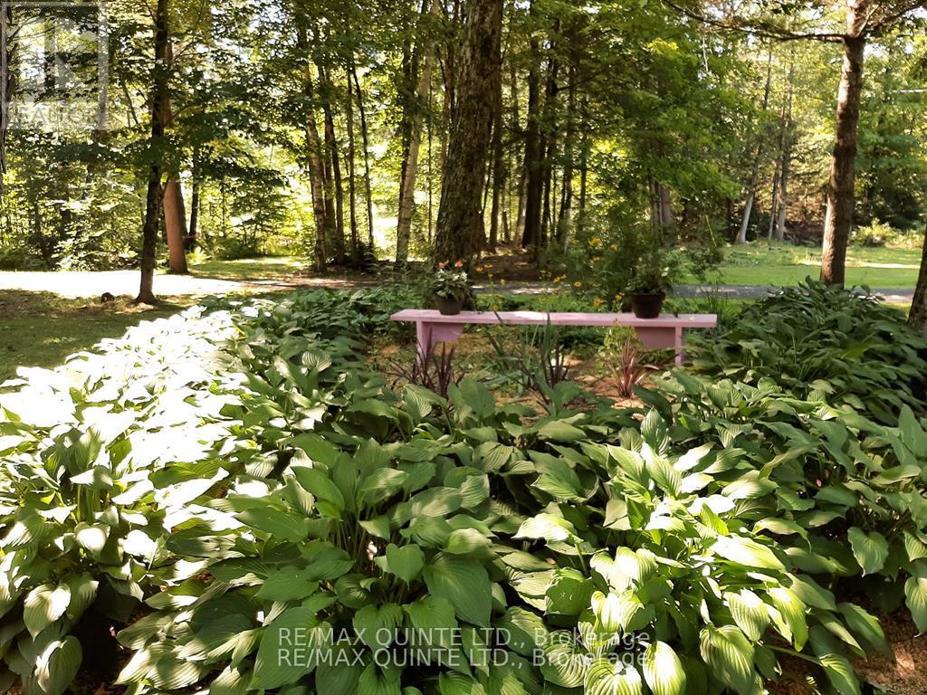 3247 Flinton Road, Addington Highlands, Ontario  K0P 1P0 - Photo 5 - X12202998