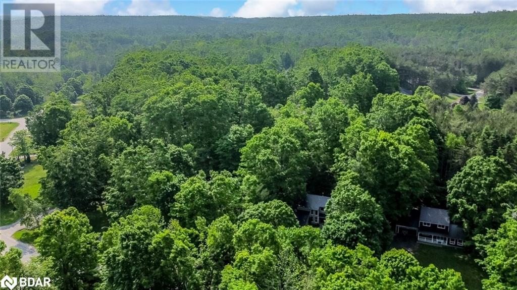 3 Sugarbush Rd, Oro-Medonte, Ontario  L0K 1E0 - Photo 35 - 40737881