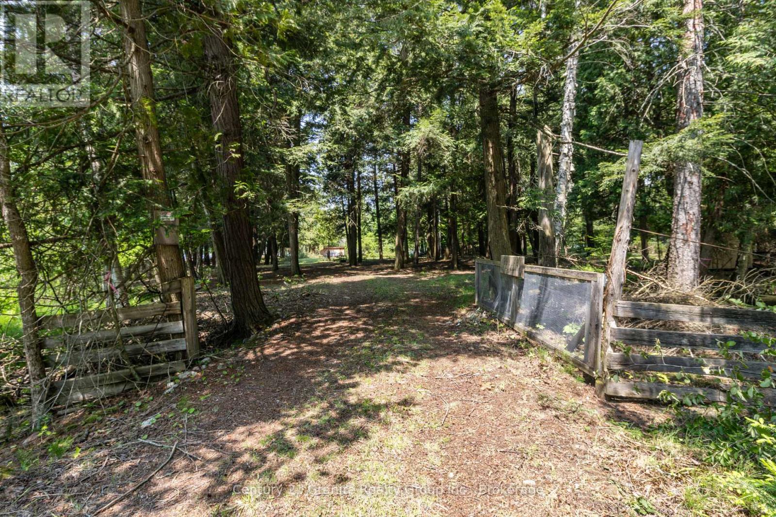 0 Soyers Lake Road, Minden Hills (Minden), Ontario  K0M 2K0 - Photo 29 - X12201733