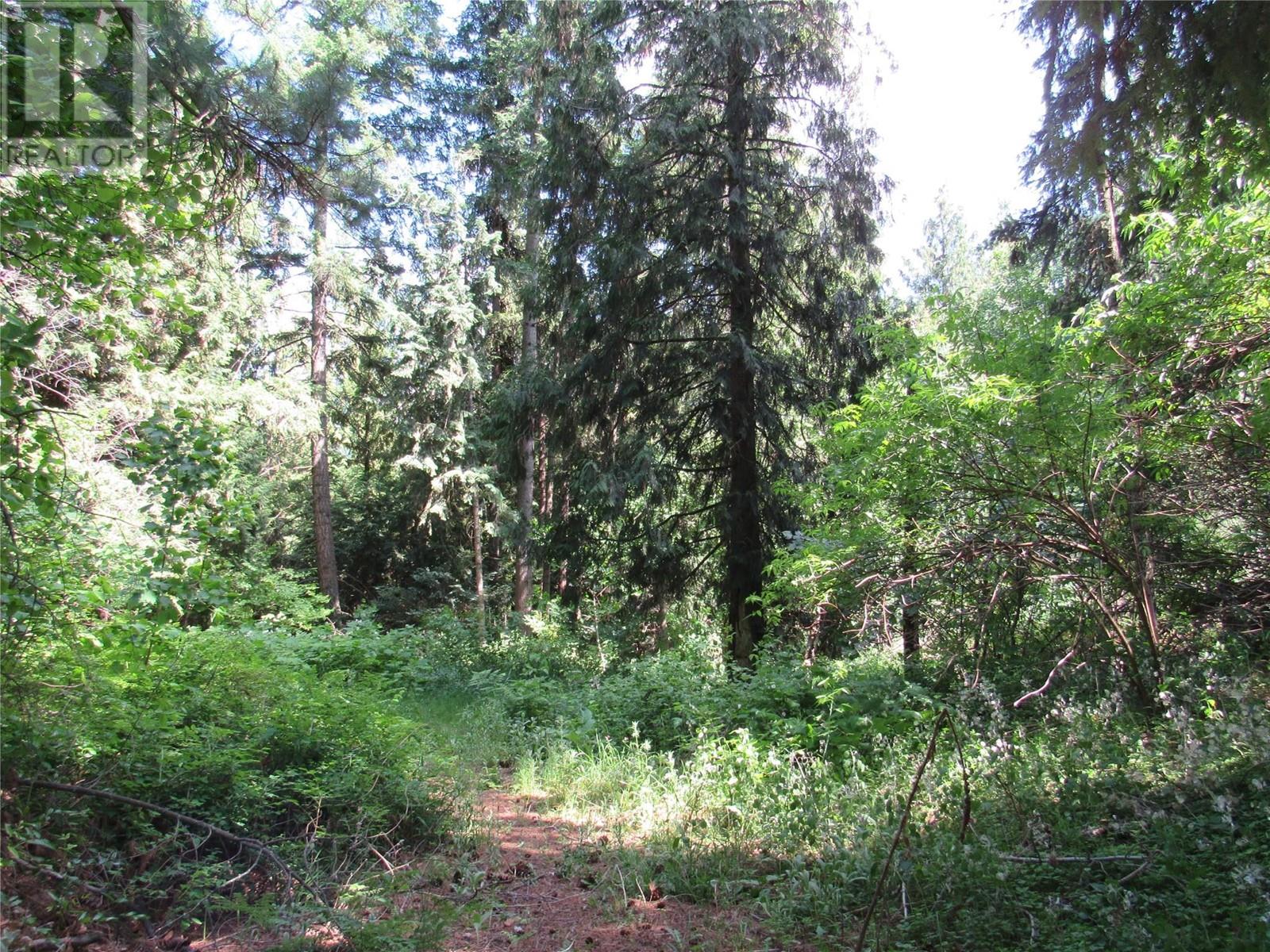 2532 10th Avenue Unit# Parcel A, Castlegar, British Columbia  V1N 3A2 - Photo 1 - 10349756