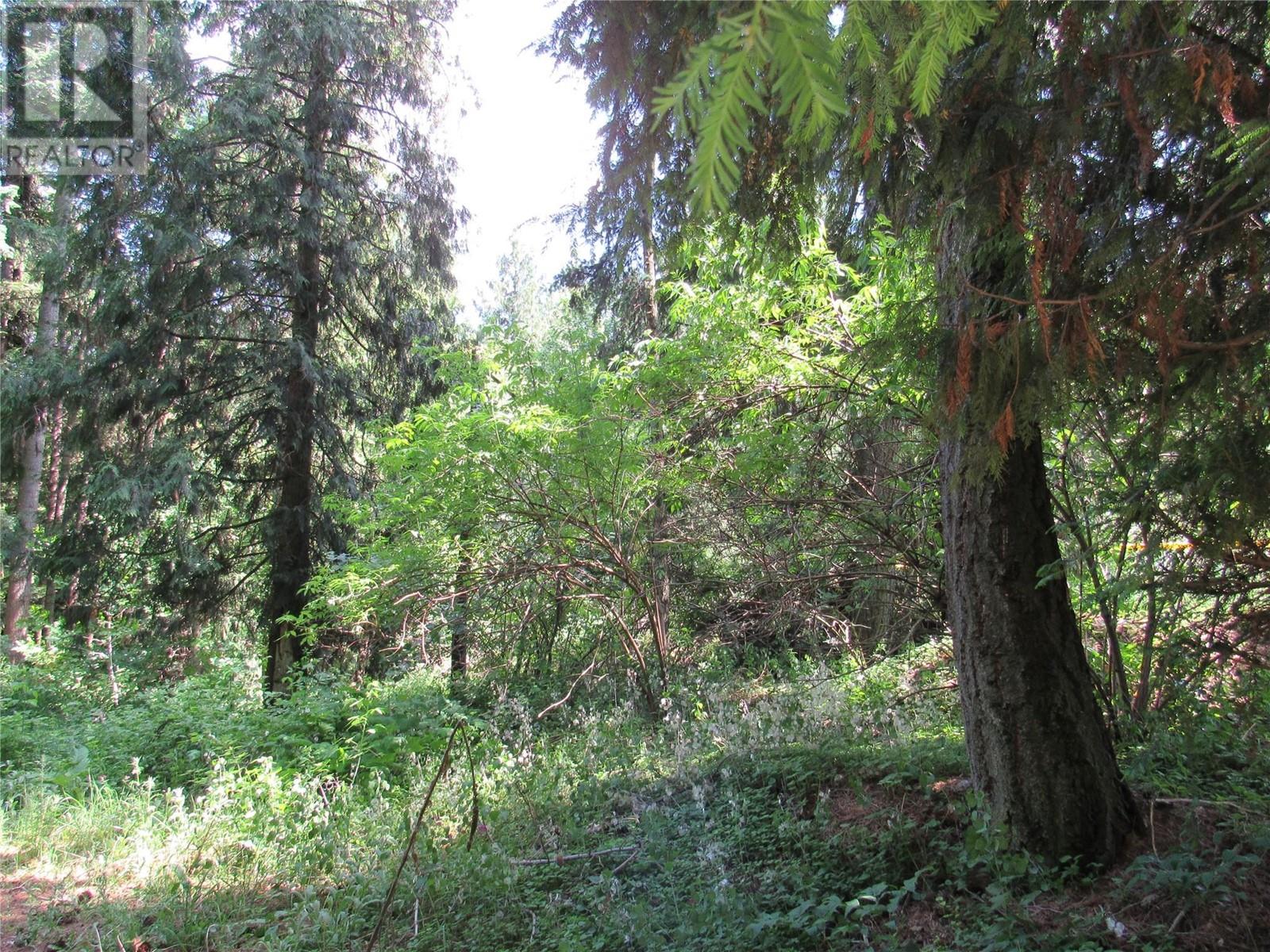 2532 10th Avenue Unit# Parcel A, Castlegar, British Columbia  V1N 3A2 - Photo 2 - 10349756