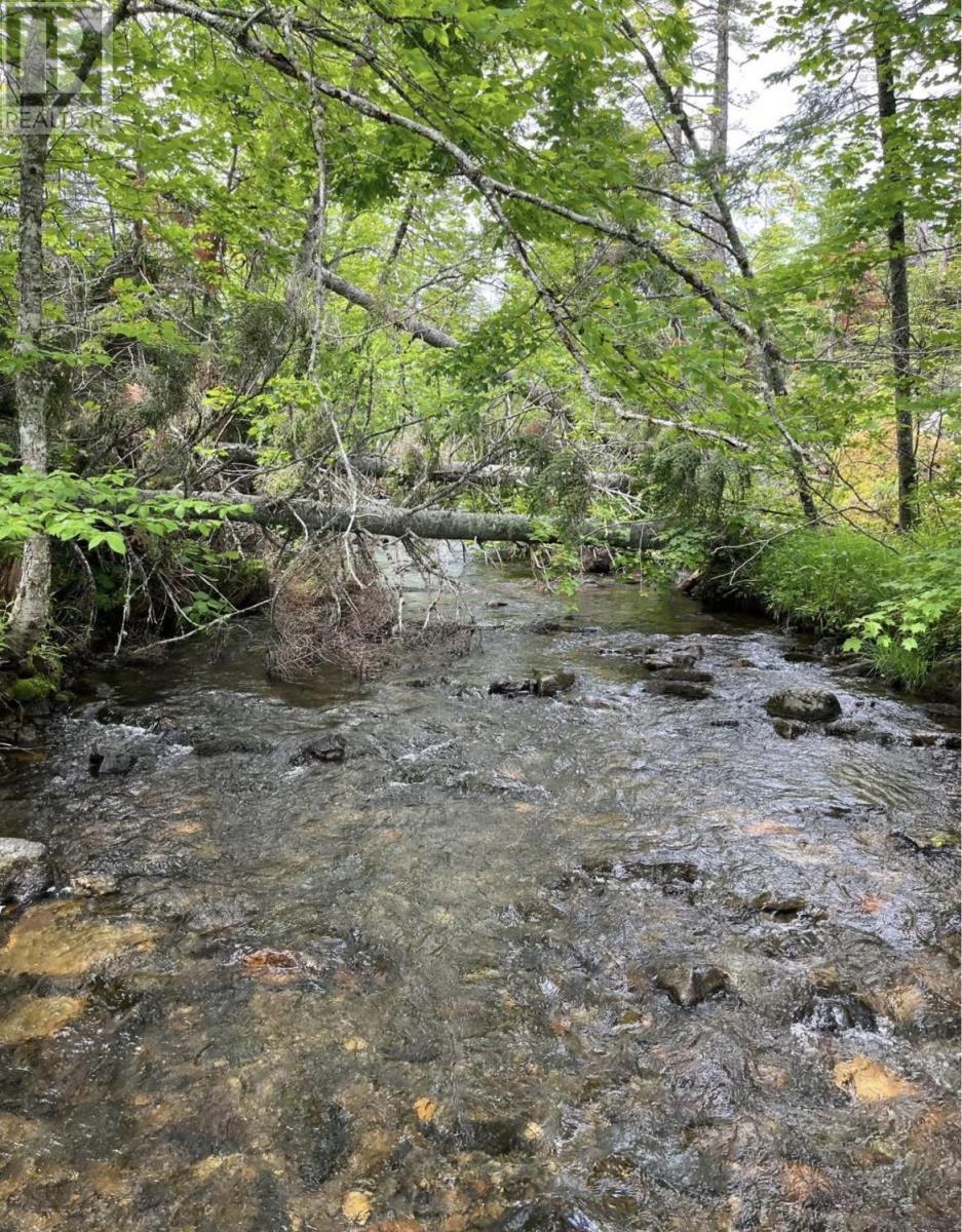 3775 Highway 311, Nuttby, Nova Scotia  B6L 6J1 - Photo 13 - 202513780