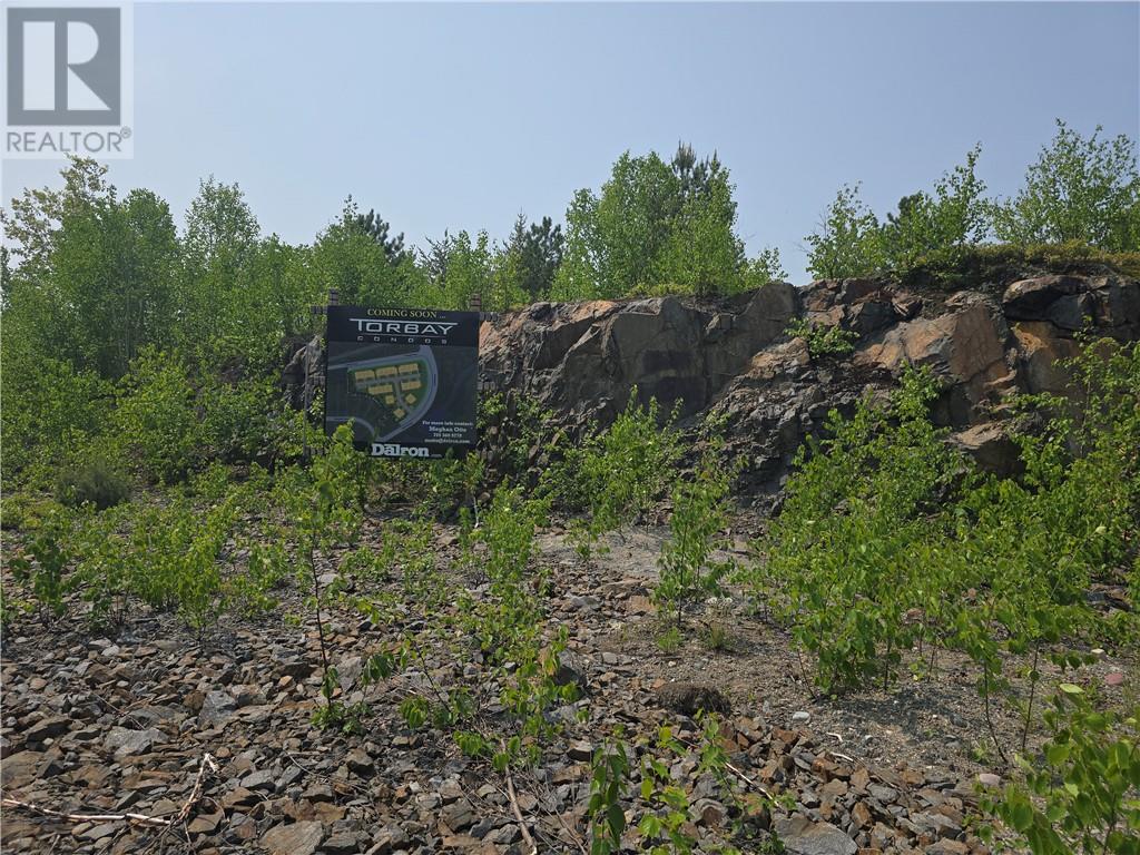 211 Second Avenue S, Sudbury, Ontario  P3B 3M4 - Photo 2 - 2122691