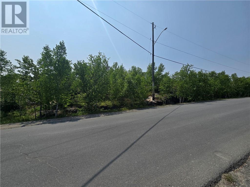 211 Second Avenue S, Sudbury, Ontario  P3B 3M4 - Photo 3 - 2122691
