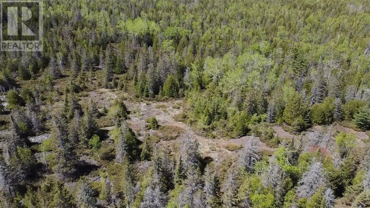 0 Cemetery Rd, Meldrum Bay, Ontario  P0P 1R0 - Photo 11 - 2120200