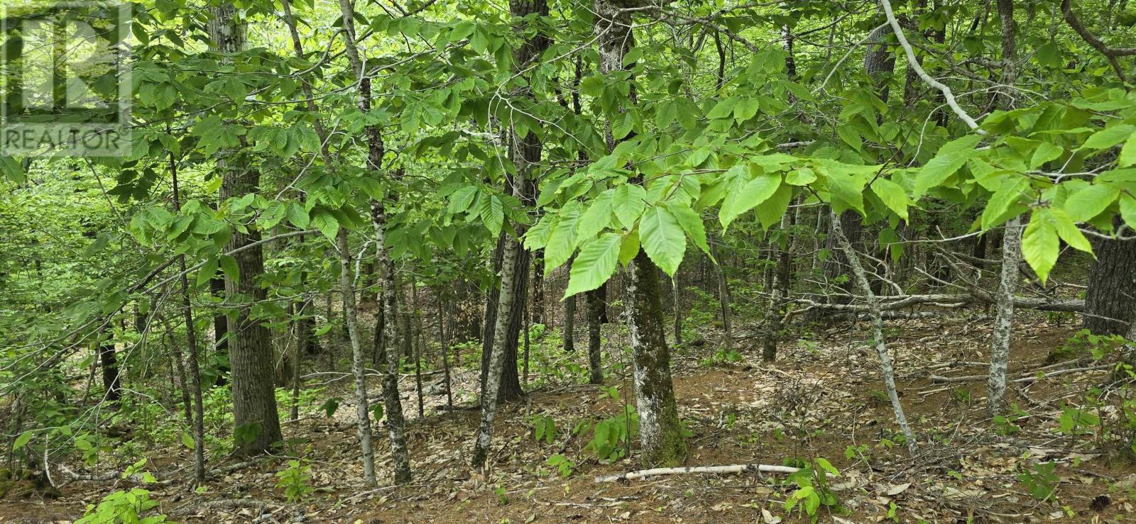 Lot 24-1 East Clifford Road, East Clifford, Nova Scotia  B4V 7R8 - Photo 16 - 202513794