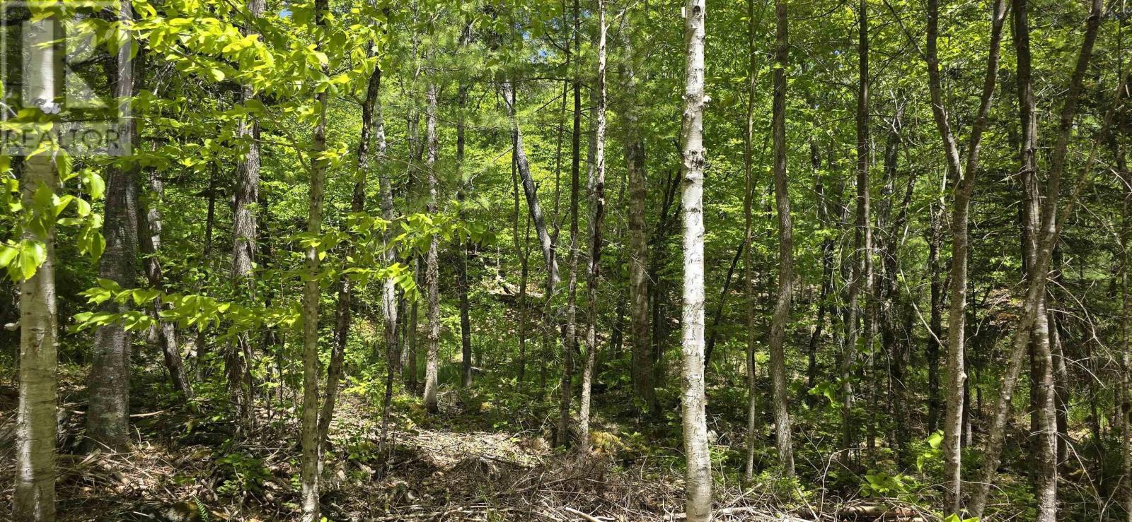 Lot 24-1 East Clifford Road, East Clifford, Nova Scotia  B4V 7R8 - Photo 21 - 202513794