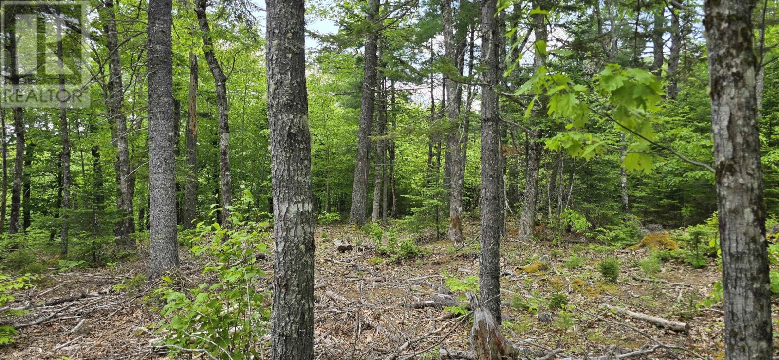 Lot 24-1 East Clifford Road, East Clifford, Nova Scotia  B4V 7R8 - Photo 10 - 202513794