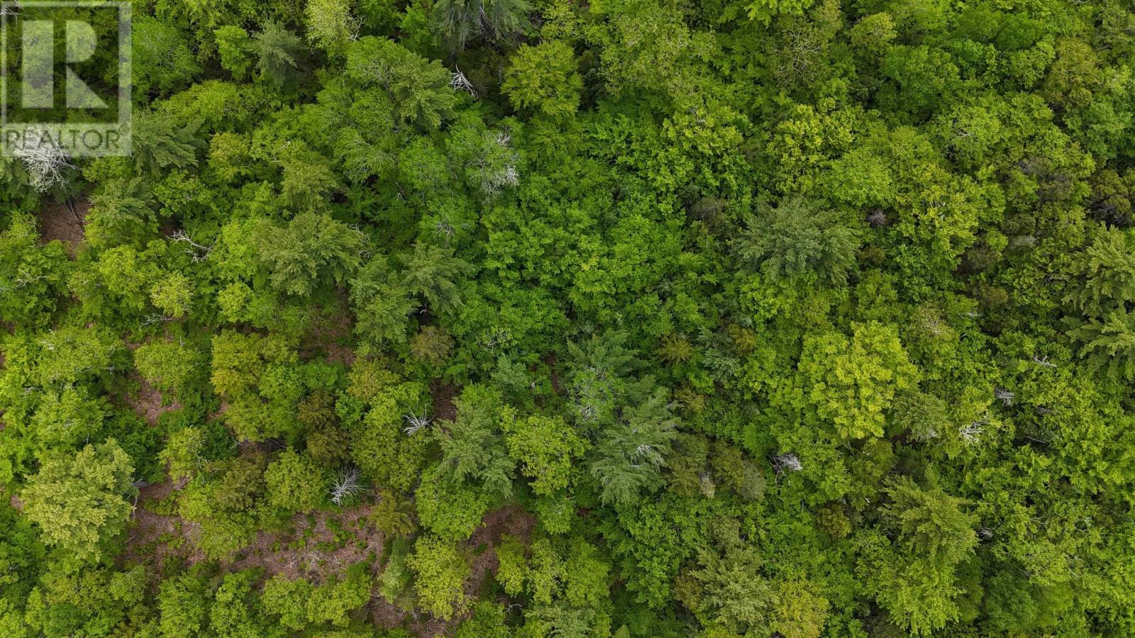 Lot 24-1 East Clifford Road, East Clifford, Nova Scotia  B4V 7R8 - Photo 26 - 202513794