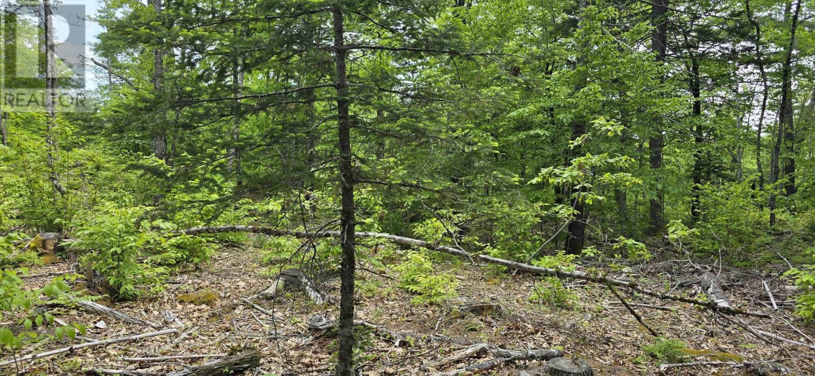 Lot 24-1 East Clifford Road, East Clifford, Nova Scotia  B4V 7R8 - Photo 11 - 202513794